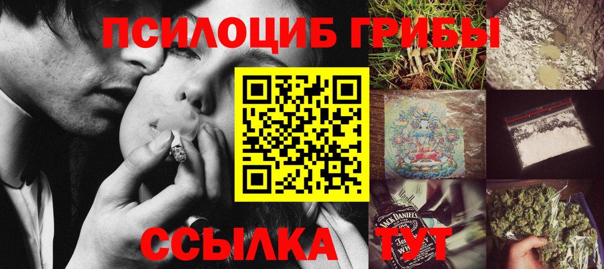 Светлоград  Псилоцибиновые грибы MAGIC MUSHROOMS  Псилоцибиновые грибы ЛСД  как найти   Вход с VPN 